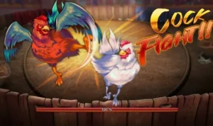 Đá Gà 3D Tại M88