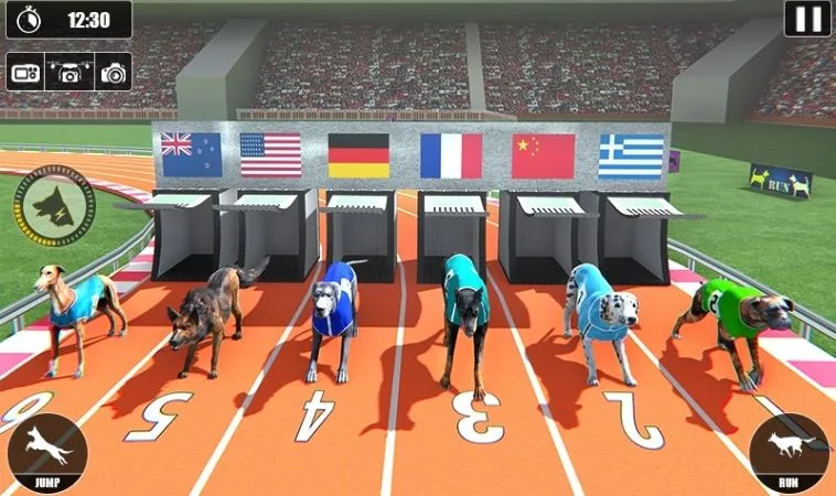 Hướng Dẫn Chơi Game Nhanh Đua Chó Tại M88 Và Mẹo Cược Bất Bại 1 Đua Chó Tại M88