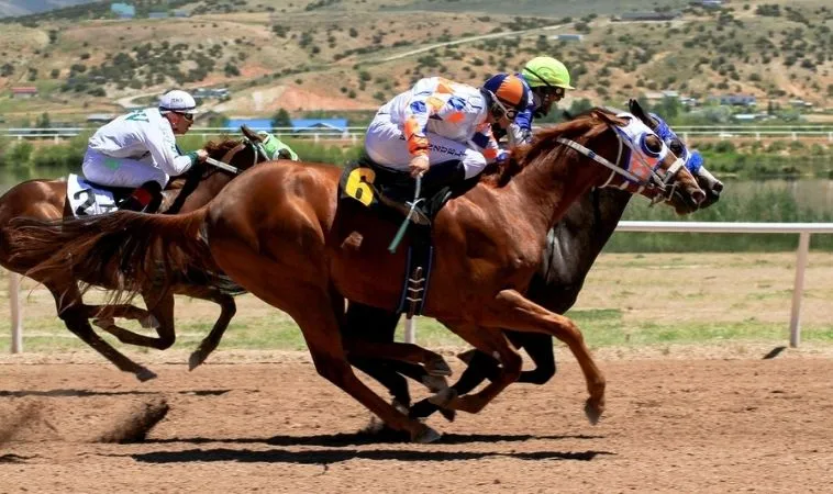 Khám Phá Sức Hút Cá Cược Đua Ngựa M88 Cùng Các Bí Kíp Hay 1 Đua Ngựa M88