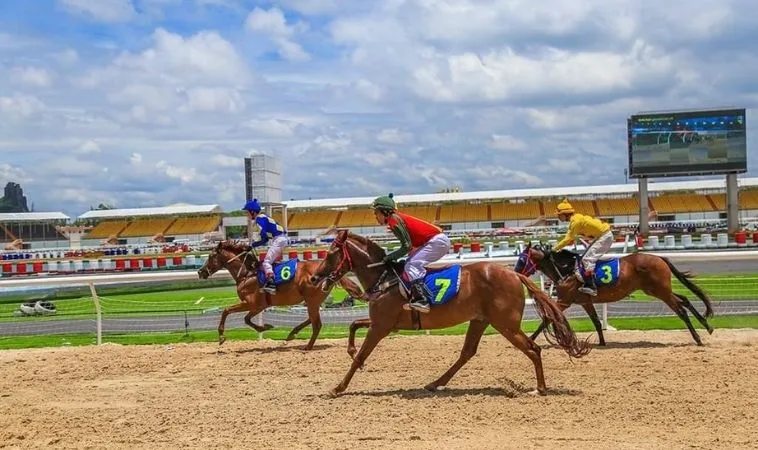 Khám Phá Sức Hút Cá Cược Đua Ngựa M88 Cùng Các Bí Kíp Hay 2 Cần tìm hiểu về bộ môn Đua Ngựa M88 trước khi cá cược